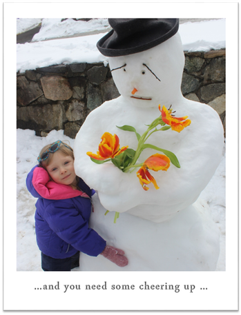 Good Bye Winter Blues with Fresh Whimsy from FlowerCrates, Bethel, CTn the snow 